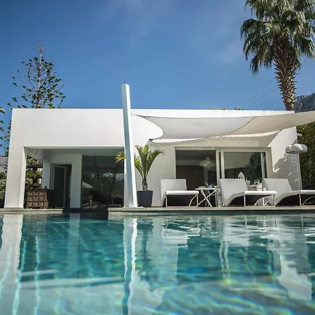 فيلة Corallo شينيسي